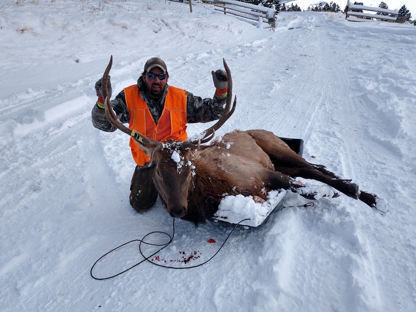 Hunting trophy
